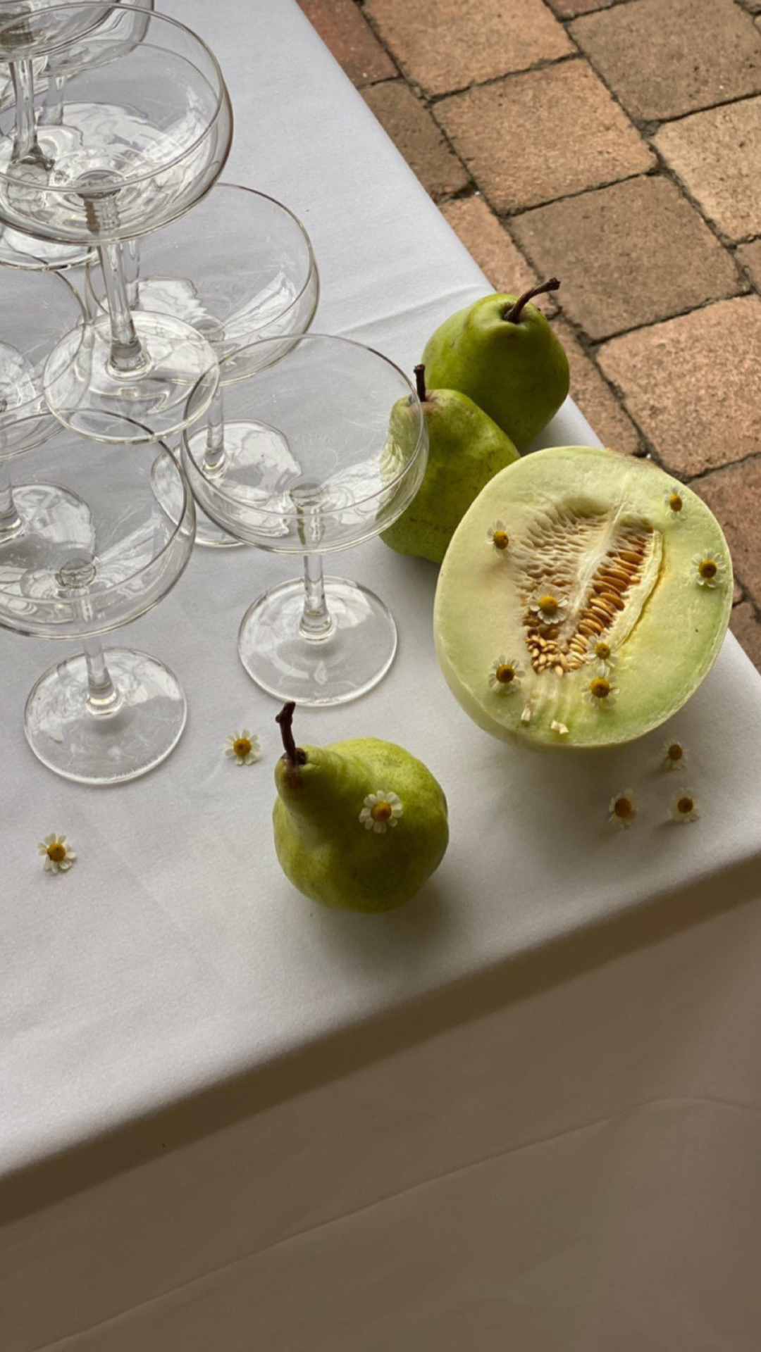 Plain Champagne Coupes