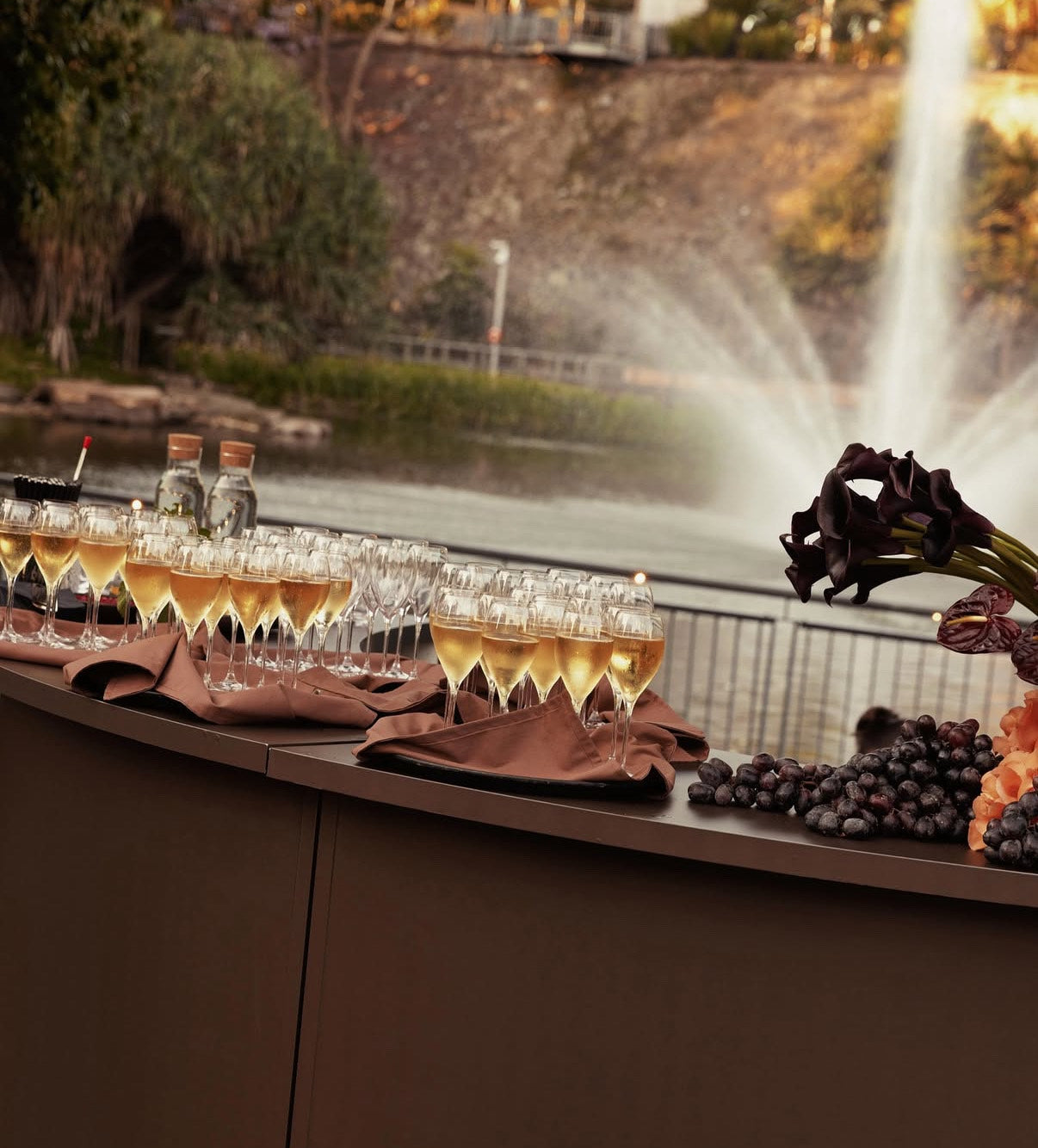 Chocolate Cocktail Service Napkins