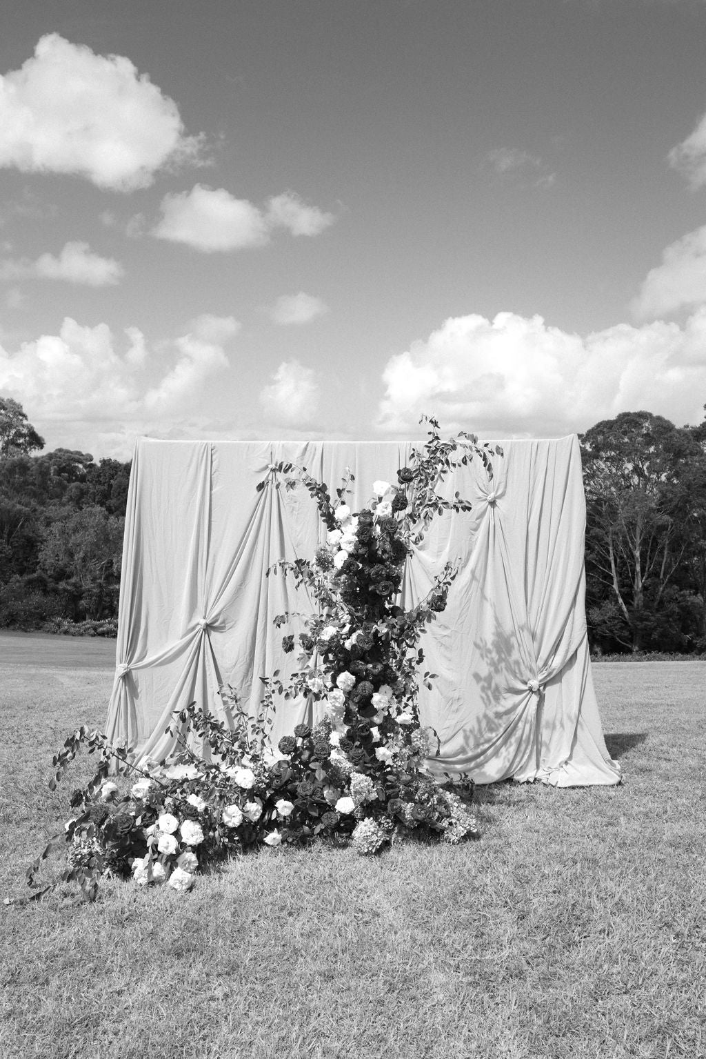 Fabric Backdrop