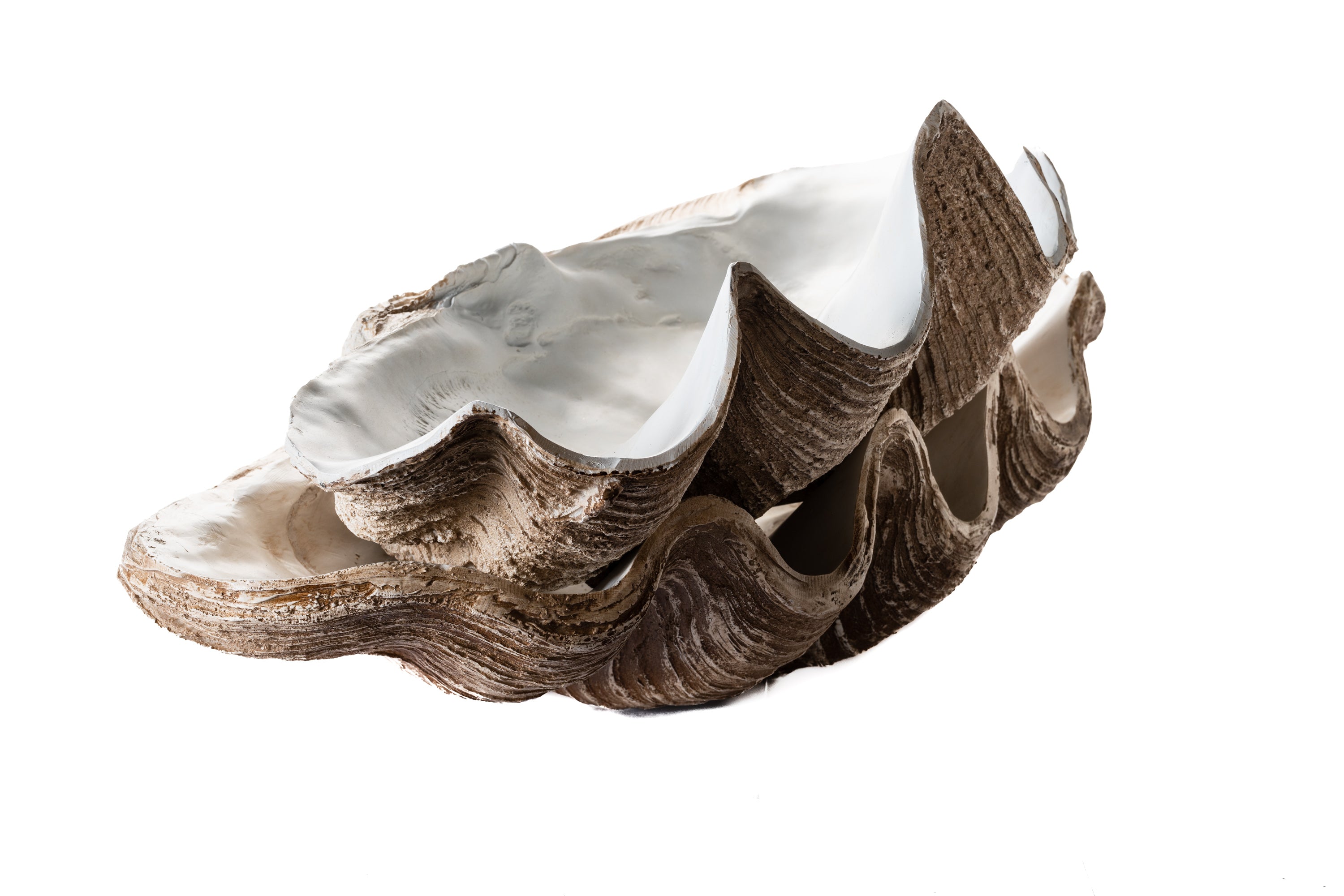 Resin Clam Shell For Hire | For Love & Living Gold Coast wedding & event hire